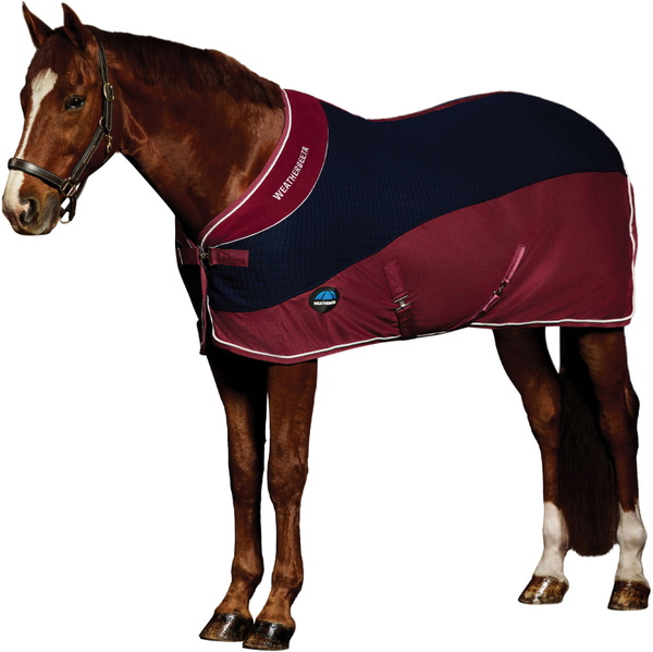 2025 WeatherBeeta Thermo - Luft Kühler Standard Hals 1018925 - Burgundy